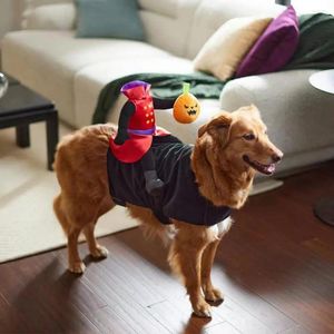 Dog Apparel Chucky Inspired Halloween Pet Costume Pumpkin Ride Design Fastener Tape Adjustable Medium Supplies
