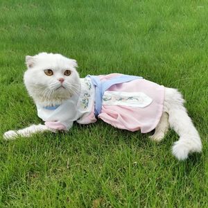 Kattdräkter vintage kinesisk stil broderi hund prinsessan klänning sommar med band husdjur hanfu valp tunna kjol antika kläder
