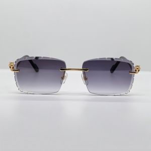 Occhiali da sole con taglio a diamante Occhiali da sole vintage senza montatura Panther Designer di lusso Carter Shades Eyewear Occhiali da vista retrò da uomo Uv400 Proteggi lente Lentes De Sol Mujer WW