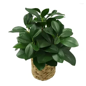 Decorative Flowers Artificial Peperomia Plant In Natural Wicker Basket Plantas Vases For Home Decoration Mom Gift Pompass Grass Fabric Mini