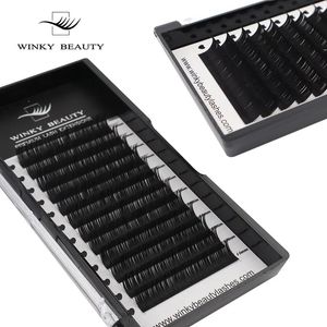 Falska ögonfransar 1 PC 003015mm CCCDDD Curl Eyelash Extension tunn och mjuk material Volym Lash Individual Premium Fake Lashes 231012