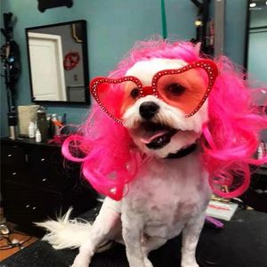 Dog Apparel Pet Wigs Cosplay Props Fancy Cats Dogs Crossdressing Hair Hat Costumes Head Accessories For Halloween Christmas Pets Supplies