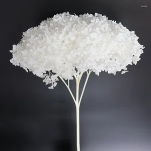 Fiori decorativi Ortensia Fiori secchi artificiali con steli per matrimoni Home Party Shop Baby Shower Decor Disposizione floreale