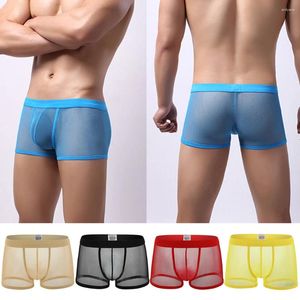 Underbyxor sexig se genom män boxare shorts manliga underkläder mesh transparenta trosor bugel påse erotisk solid tunn man