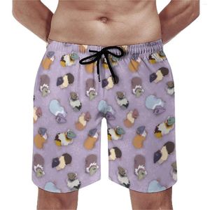 Shorts masculinos verão placa bonito cobaia esportiva animal impressão design praia havaí troncos de secagem rápida plus size