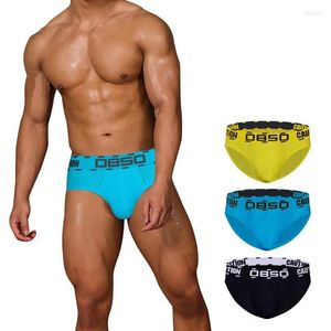 Unterhosen 3 teile / los Männer Slips Männliche Baumwolle Mann Sexy Unterwäsche Set Atmungsaktive Herren Under Niedrige Taille Schnell M-XXL2204