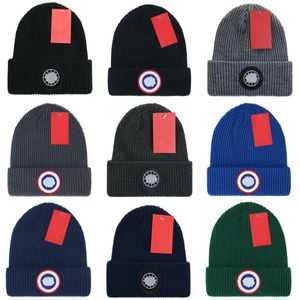 hatt stickad beanie designer vinter höst lyxig ull mössa varma kvinnors mäns hattar klassiska mode broderi par stil unisex temperament mångsidig design gåva