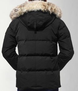 Wyndham Men's Designer Genuine Wolfskin Outdoor Windbreaker High Quality Luxury Hooded Jacket Fourrure Manteau Hiver Doudoune 3769
