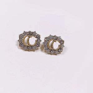 Exquisite Water Diamond Luxury Earrings Brass Material 925 Silver Needle Fashion Earrings Designer for Women Gift Jewelry