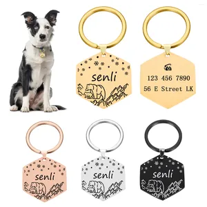 Etiqueta de cachorro personalizada para gatos, identificação gravada para filhotes, nome de animais de estimação, acessórios diy, colar de aço inoxidável personalizado grátis