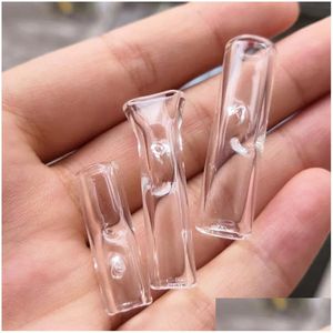 Smoking Pipes Mini Glass Filter Tips For Dryherb Tobacco Rolling Papers With Cigarette Holder Pyrex Round Flat Mouth Drop Delivery H Dhui3