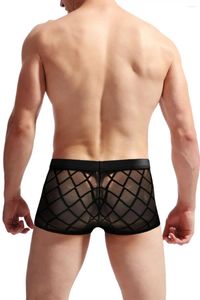 Mutande da uomo Intimo divertente Boxer Shorts Lingerie Pizzo a quadretti Maglia trasparente Vita bassa Pantaloni piccoli angoli piatti semitrasparenti sexy