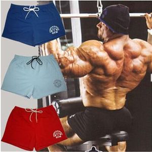 Mens Sport Shorts casual fitness gym men workout cotton skinny Gym Boxing Running Yoga fight bodybuilding Shorts for man224j