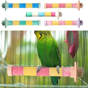 Other Bird Supplies Standing Stick Parrot Branch Stand Exercise Toys For Parakeets Cage Grinding Pole Cockatiels Accessories