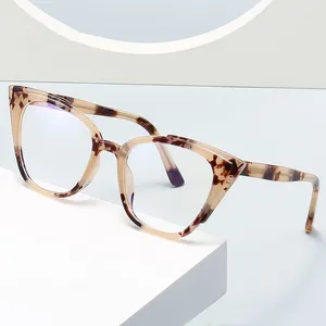 Óculos de sol de alta qualidade Hawksbill Cat's Eye Frames Leopard Print Fashion Flat Glasses Commuter