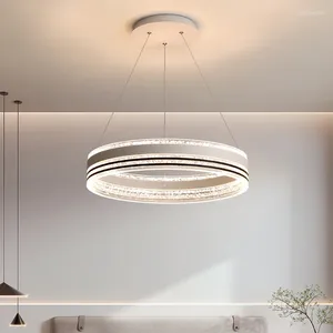 Pendant Lamps Coloured Lights Modern Ceiling Iron Cord Holder Lamp Birds Kitchen Light Luxury Designer
