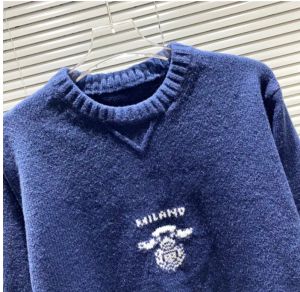 2022 Projektanci klasyczni męscy odzież liter klatki piersiowej moda nad druk zwierzęcy swobodny jesienna zima bluza z kapturem pullover menu kobiety ekipa szyi swetry s-xxl
