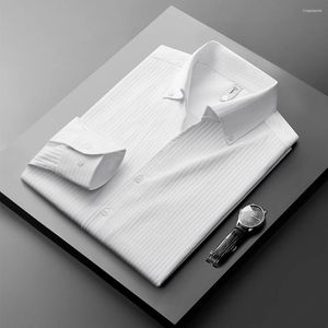 Camicie casual da uomo Camicia a maniche lunghe in tinta unita di alta qualità Primavera e autunno Lusso non stirabile a righe bianche