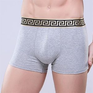 Roupa interior macia respirável saúde grande escroto masculino underware bolsa pacote shorts roupas china boxers atrevido algodão sólido A-M556 5xl255f