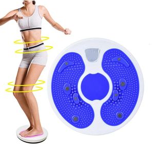 Twist Boards Home Waist Wriggling Plate Twist Board Magnet Disc Home Fitness Equipment Workout Plate Training Tool 231016
