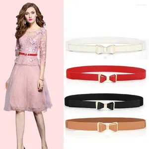 Cintos femininos elástico estiramento casual bubuckle cintura selvagem saia bandas senhoras vestido cummerbund bowknot cinto de cintura fina