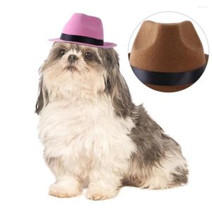 Cão vestuário adorável animal de estimação chapéu po prop cowboy gato boné com corda ajustável cocar universal para férias