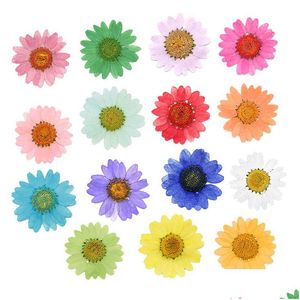 Faux Floral & Greenery Faux Floral Greenery 120Pcs Pressed Press Dried Daisy Dry Flower Plants For Epoxy Resin Pendant Neckl Dhgarden Dhdyj