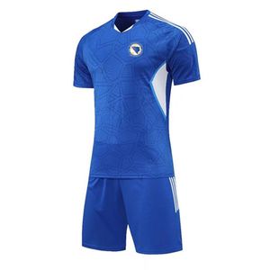 Bosna-HERZEGOVINA Erkek Trailsuits Yaz Açık Hava Eğitim Gömlek Spor Kısa Kollu Takım Futbol Hayranları Tişört Takımı Emblem 237i