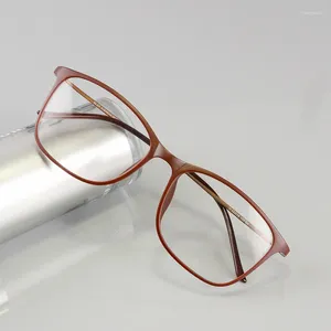 Sonnenbrillenrahmen Mode Ultraleichte Gläser Frauen Kunststoff Titan Brillengestell Männer Myopie Klare Brillen Oculos de Grau Metallbeine