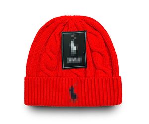 Top Sale Herren Beanie Winter Unisex Strickmütze Gorros Bonnet Skull Caps Strickmützen Klassische Sportmütze Damen Casual Outdoor Designer POLO Beanies P-1