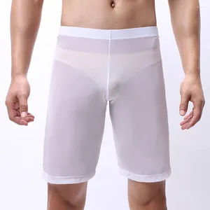 Underpants Long Boxershorts Ultra-thin Men See Through Brief Underwear Youth Sheer Mesh Bulge Pouch Shorts Male Pajamas Panties