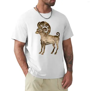 Erkek Polos Aries Burç Sign T-Shirt Boys Tişörtler Plus Boyut Üstler Erkekler İçin Sevimli Antrenman