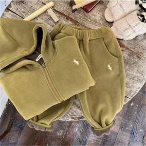 Autunno Inverno Set di abbigliamento per bambini Giacca con cappuccio Caldo pile polare Bambino Bambini Ragazzi Ragazza Top Cappotto Pantaloni Tuta