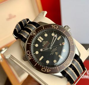 Ocean Watch OM 2023 럭셔리 여성 시계 박스와 함께 디자이너 브랜드 로고 고품질 데이트 조정 31mm 쿼츠 워치 워터