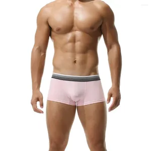 Cuecas masculinas gradiente listra cinto cintura baixa sexy gay deslizamentos lingerie boxer shorts algodão fino ângulo plano esportes roupa interior