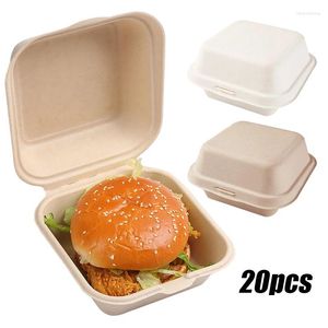 Estrarre contenitori 20 pezzi usa e getta Lunch Box Eco-Friendly Bento contenitore da forno frutta hamburger torta pasto Prep Packaging alimentare