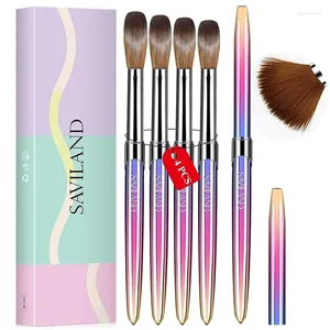 Nail Art Kits 4pcs Pen Set UV Gel Curing Striper Floral Design Silicone Dotting Crystal Striping Brush