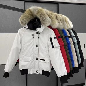 Designer canadense mens piloto para baixo jaqueta real lobo pele com capuz lona parkas carta remendo quente grosso outwear mulheres inverno gansos casaco