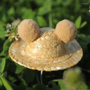 Cão vestuário pet chapéu de palha artesanal natural gato sunbonnet chapelaria ins estilo gatinho filhote de cachorro vestir-se ao ar livre suprimentos acessórios