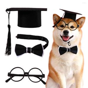 Hundklädklänning Filt Pet Cat Hat Collar Glasögon Set Graduation Outfits Supplies