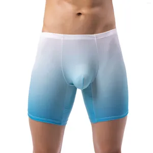 Cuecas gradiente colorido mens boxer briefs stretchy underwear bulge bolsa esporte shorts masculino para exercício treino ginásio fitness