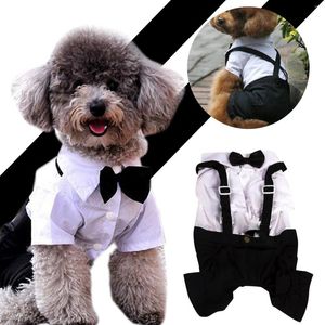 Köpek Giyim Kravat Düğün Takım Kıyafetleri Cosplay Pet Aksesuarları Ropa Para Perros için Yay ile Yaz Nefes Alabilir Resmi Giyim