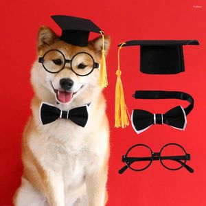 Abbigliamento per cani Adorabile Adorabile occhiali da collare con cappello da gatto set da compagno di cosplay per animali domestici Accessori per costumi di laurea