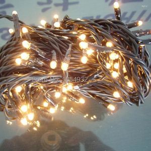 Weihnachtsdekorationen, 220 V, Glühlampe, Reisbirne, PVC-Kabel, Lichterkette, schwarz, transparent, für den Innen- und Außenbereich, Weihnachtsdekoration