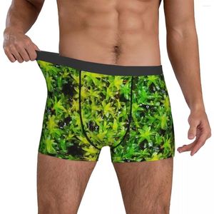 Underbyxor grön mossa underkläder lämnar tryck 3D -påse trenky boxer shorts anpassade trosor klassiska mäns plus storlek 2xl