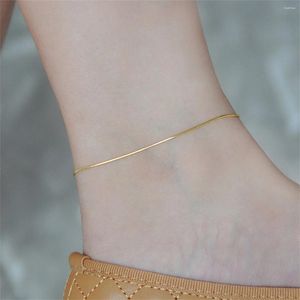 Anklets Cold Wind Thin Snake Bone Anklet Ins Personality Design Foot Decoration Female Students Simple Boudoir