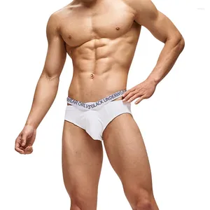 Underpants Male Sexy Underwear Men's Cotton Breathable Butt-lifting Pouch Bag Low Waist Sissy Panties Exotic Briefs