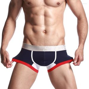 Mutande! Marchio di moda SEOBEAN Intimo gay da uomo in puro cotone U convesso a vita bassa Boxer uomo per uomo