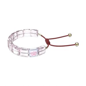 Swallow Einfache Mode Luxus Quadratischen Kristall Armband Göttin Ornament Armband Valentinstag Freundin Silber Frau Geburtstag Geschenk