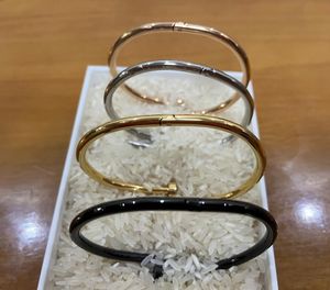 Classic bangles Gold Silver Nail Bracelet Titanium Steel Cuff bangle nlay Diamond Bracelets Womens Mens Love Jewelry Gift With dust bag 20 color
